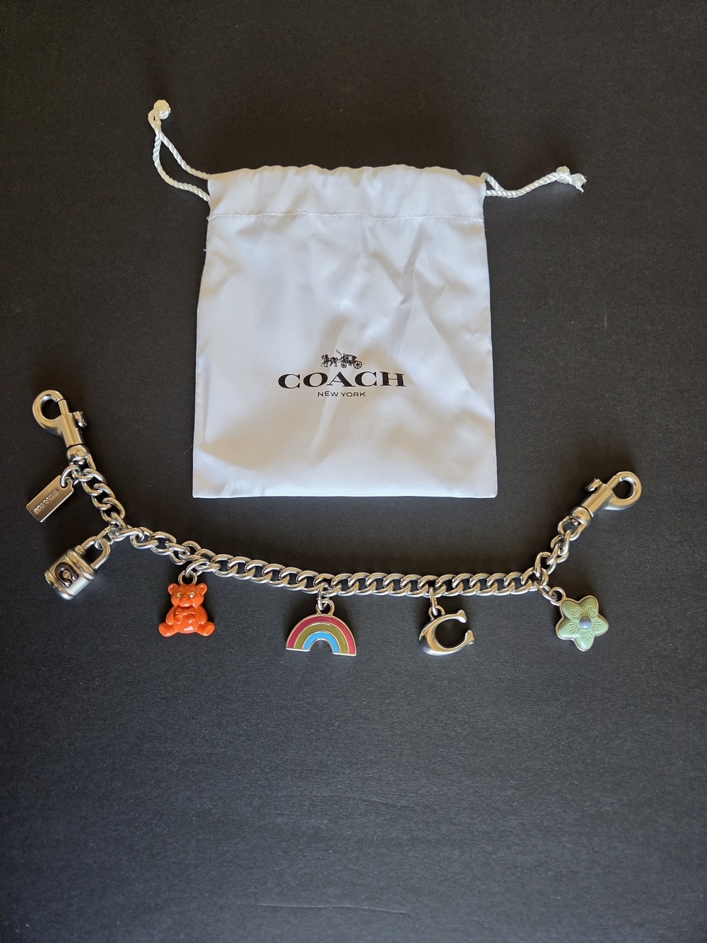 Coach Silver Swagger Chain With Charms